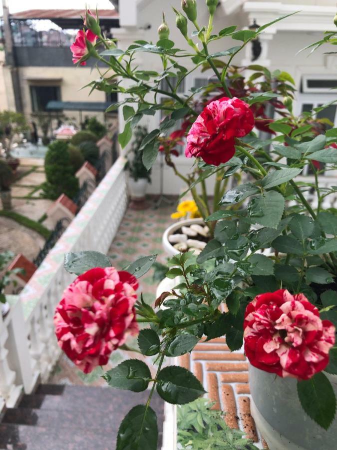 Villa - Hotel Nam Khang 2 Dalat Buitenkant foto
